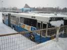 Carrus-Wiima N 202, HKL-Bussiliikenne 8509